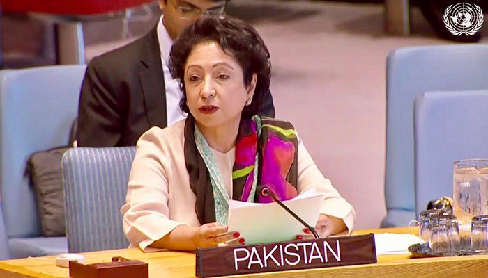 Maleeha Lodhi elected as vice president of UN's economic arm