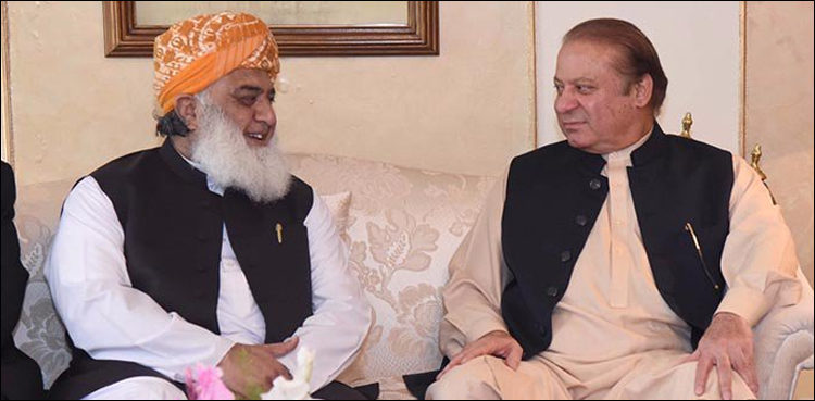 Nawaz Sharif tells PML-N to ensure success of Fazl's Azadi March