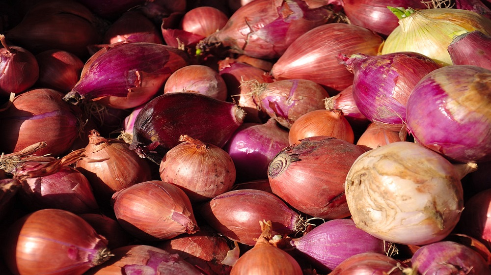 Bangladesh to import onions from Pakistan after 15 years