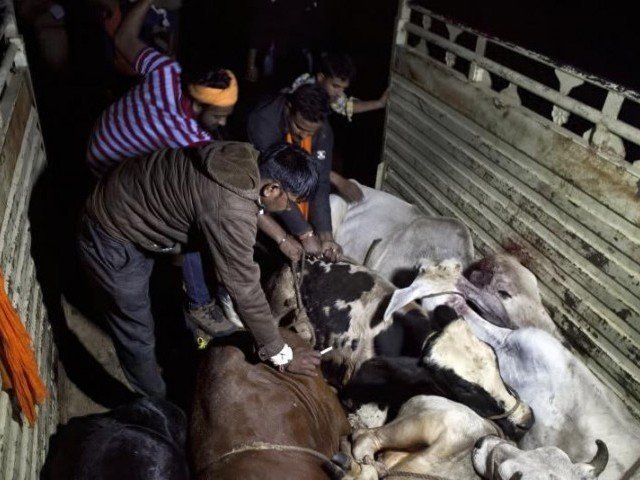India’s intolerance continues: two lynched to death over suspicion of stealing cows