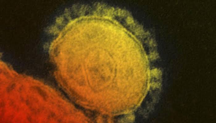 How similar is coronavirus to flu?