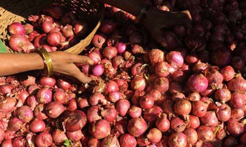 Government bans export of onions till May 31