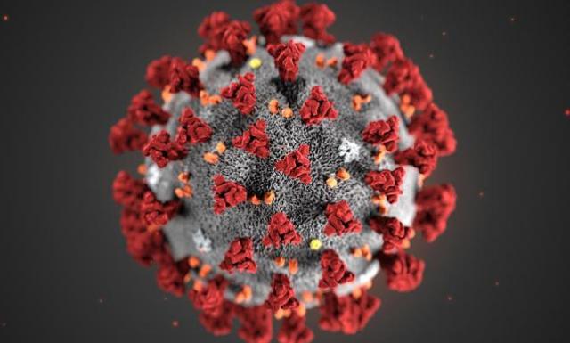 US scientists find coronavirus mutation that makes virus weaker