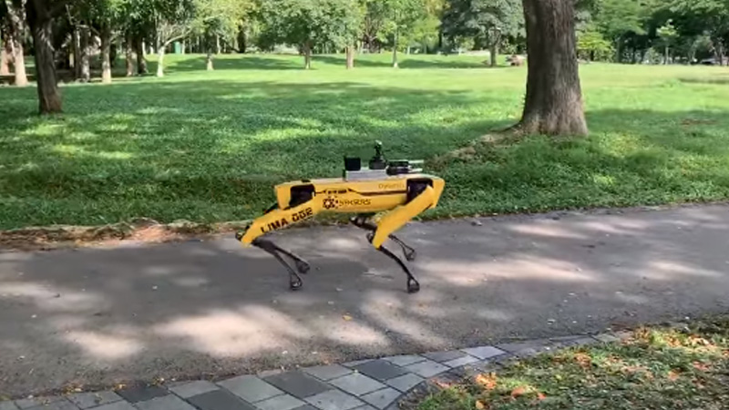 Dog-like robot ensures social distancing in Singapore