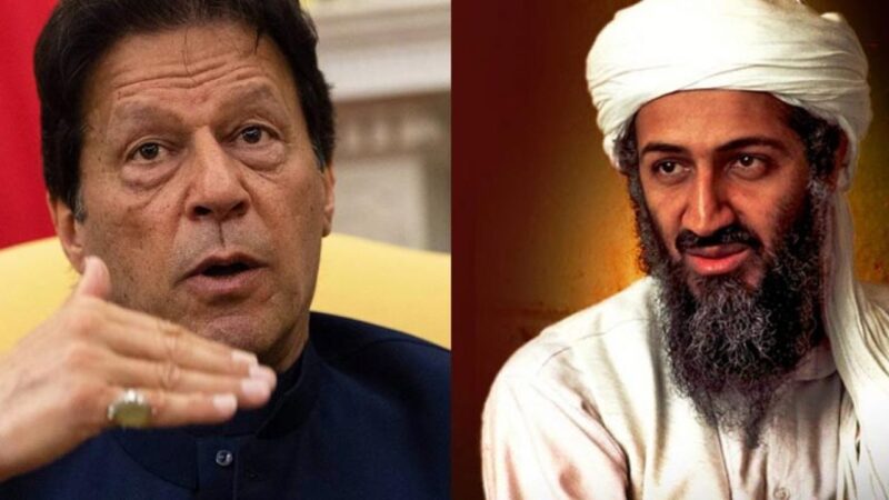 PM Imran Khan did not call Osama bin Laden a martyr, clarifies special assistant