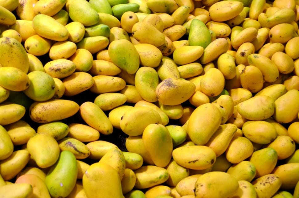 After‌ ‌Australia,‌ ‌now‌ Pakistan gets approval to export mangoes to Japan