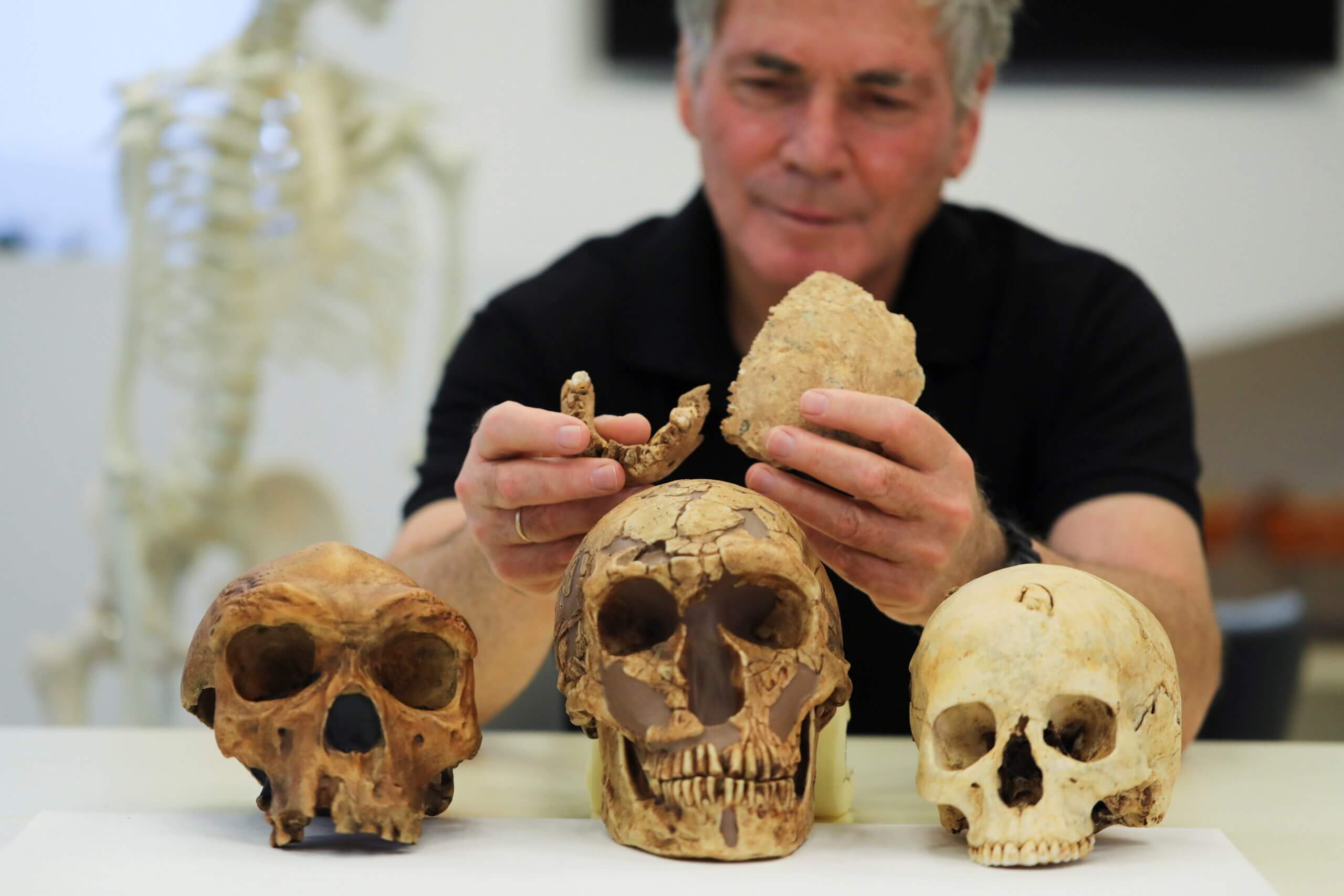 Research team discovers Bones of new type of early human in Israel