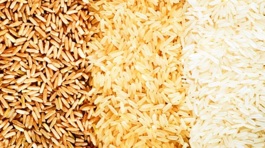 Pakistan & China jointly develop high-yield hybrid rice varieties through AI