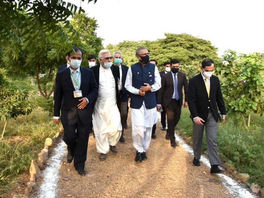 Pakistani man plants first Islamic garden in Karachi, inspired by Sharjah orchard