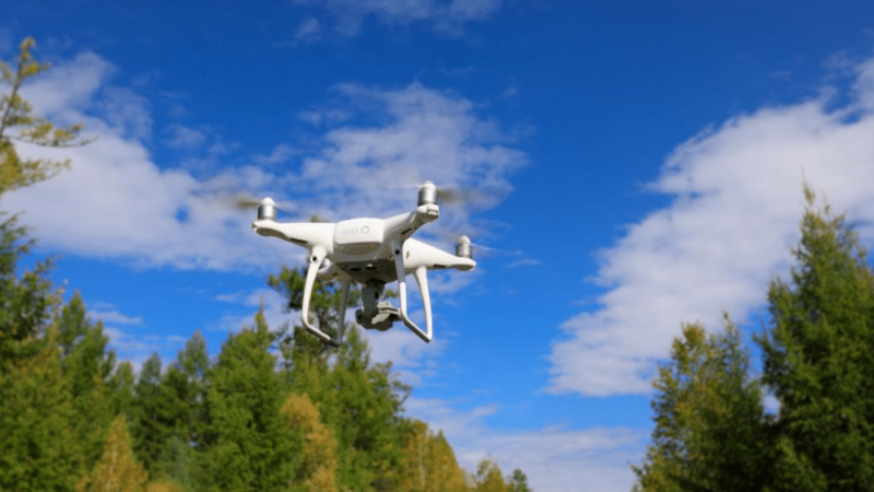 drones to monitor wildlife