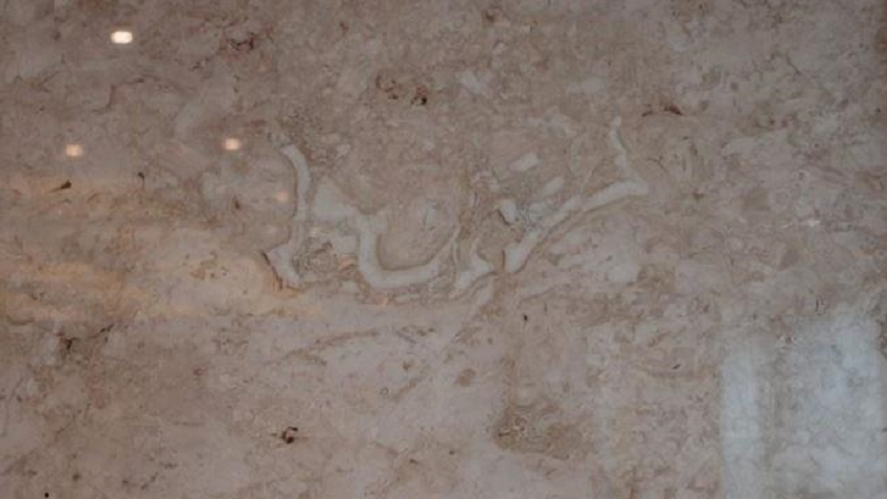 ‘Bismillah’ found on 195 million-year-old marble discovered in Turkey