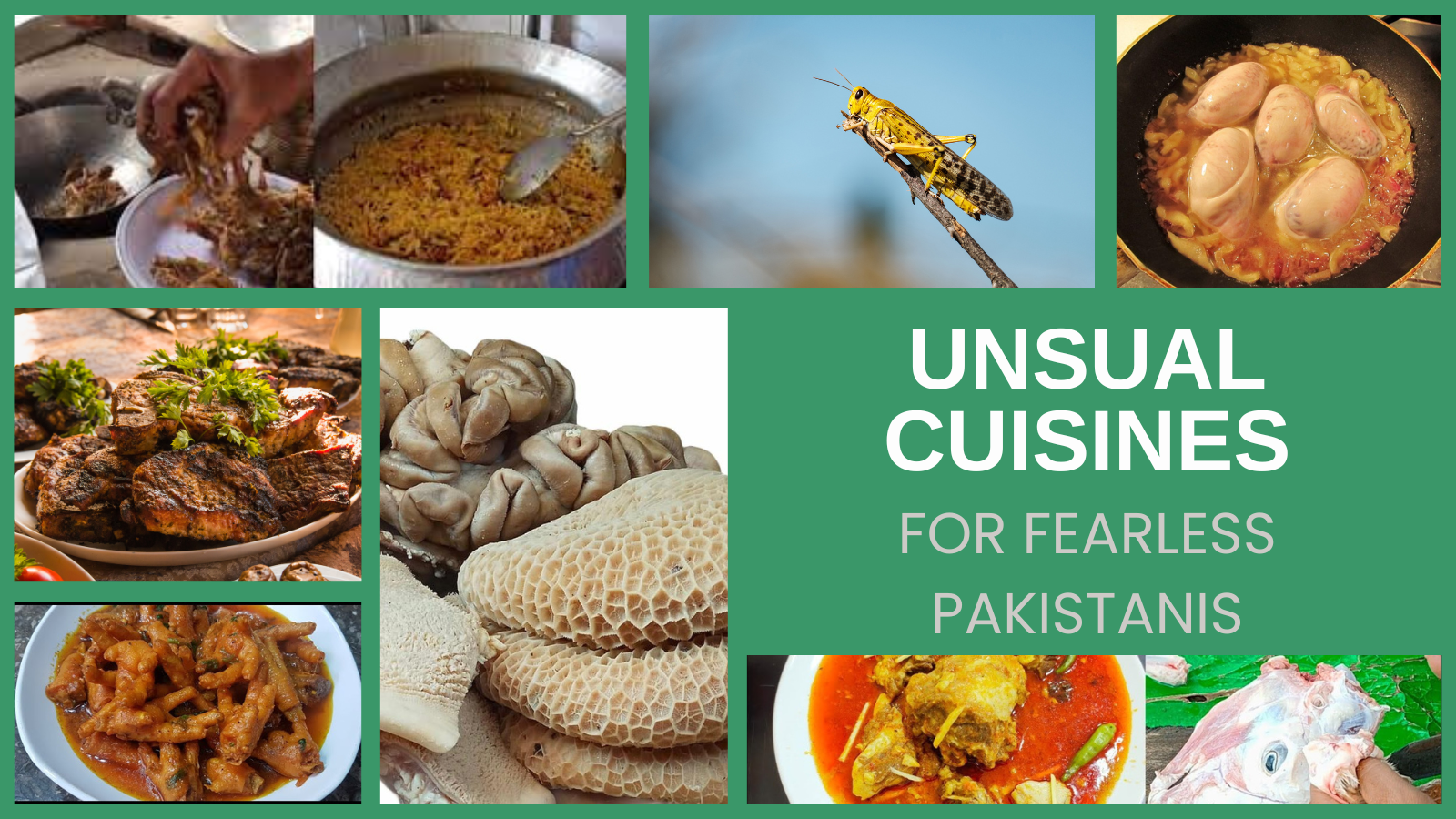 Unbelievable foods only fearless Pakistanis love to eat